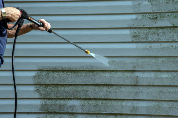 Best Driveway Pressure Washing  in Golden Gate, FL