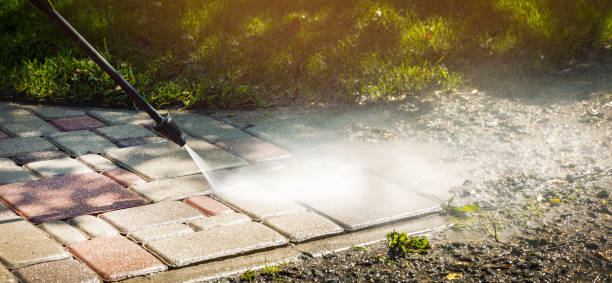 Best Soft Washing  in Golden Gate, FL